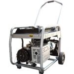 Planta de luz a gasolina 8000w precio