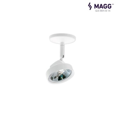 L1732-1E5 ALPHA A CANOPE 114 1X50W 127V 30K BC Magg