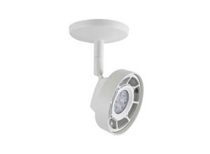 L5645-100 ALPHA CANOPE 50W MAX 127V S/LAM BC Magg