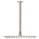 Regadera acero inoxidable 12 con brazo satinado Riviera R-312N 45776 Foset