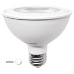 PAR30D-LED/001/40 tecnolite Foco de par 30 10W 4000K E27 750 LM